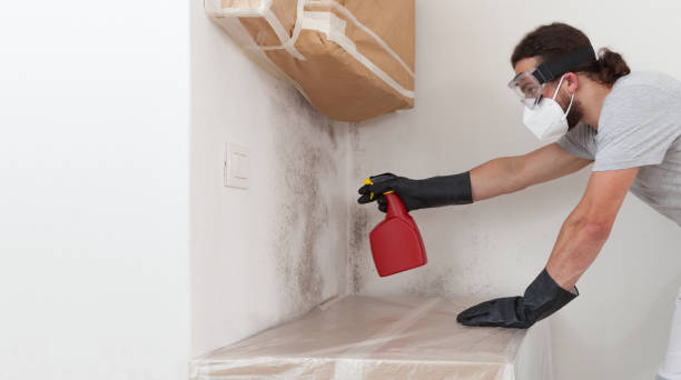 Professional Attic Mold Remediation technician working in Crownsville, MD