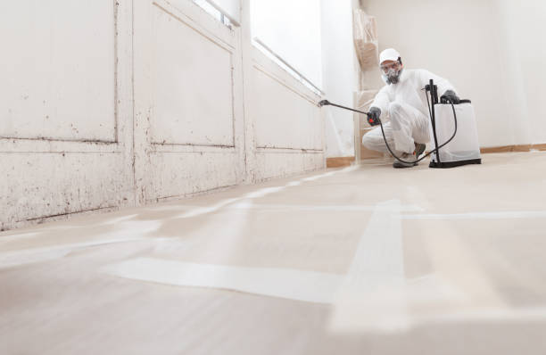 24/7 Emergency Attic Mold Remediation experts in Crownsville, MD