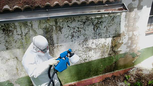 Top rated local Attic Mold Remediation specialists in Crownsville, MD